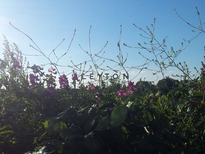 1208928_850512062705_1423886804_n