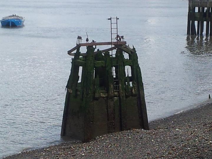 564409_850512591645_304483907_n