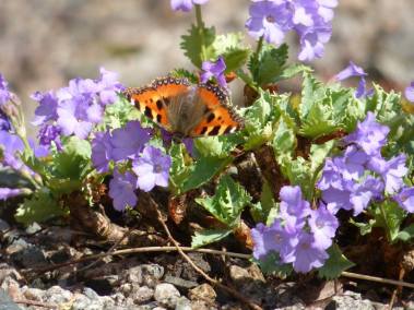 1508517_10100152953454705_7824452649711256362_n